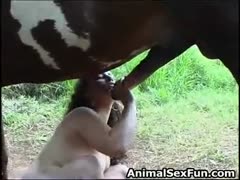 In a ladies' sex horses porn, a naked slut snatches a gigantic pecker and enjoys the beastiality sucking.